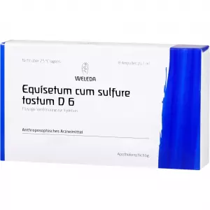 Equisetum Cum Sulfure Tostum D6
