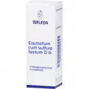 Equisetum Cum Sulfure Tostum D6