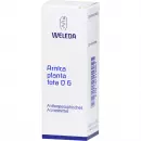 Arnica Planta Tota D6