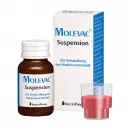 Molevac
