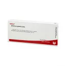 ARNICA E PLANTA TOTA D 4