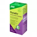 Floradix железо плюс витамины группы в
