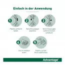 Advantage 40 мг кошка + маленький декоративный кролик - Advantage 40 мг кошка + маленький декоративный кролик