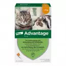 Advantage 40 мг кошка + маленький декоративный кролик