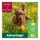 Advantage 250 Собака - Advantage 250 Собака