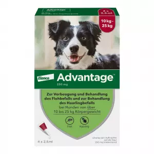 Advantage 250 Собака