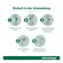 Advantage 40 Собака - Advantage 40 Собака