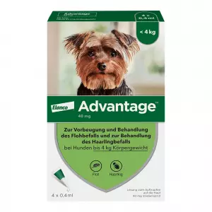 Advantage 40 Собака