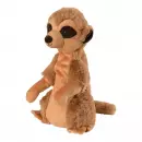 Теплый миниатюрный сурикат