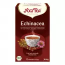 Yogi TEA эхинацея